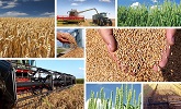Barmendra AgroTech